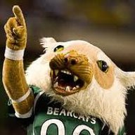BearCatGator