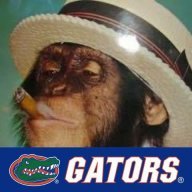 Hamgator
