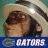Hamgator